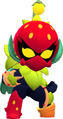 Strawberry Lily