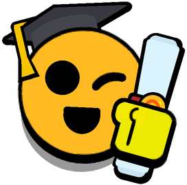 University Diploma Special Pin