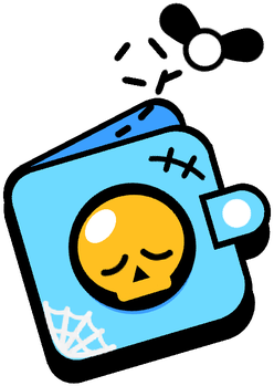 Scstore Wallet Special Pin