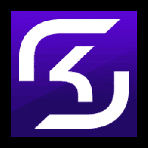 Esports Sk Profile Icon